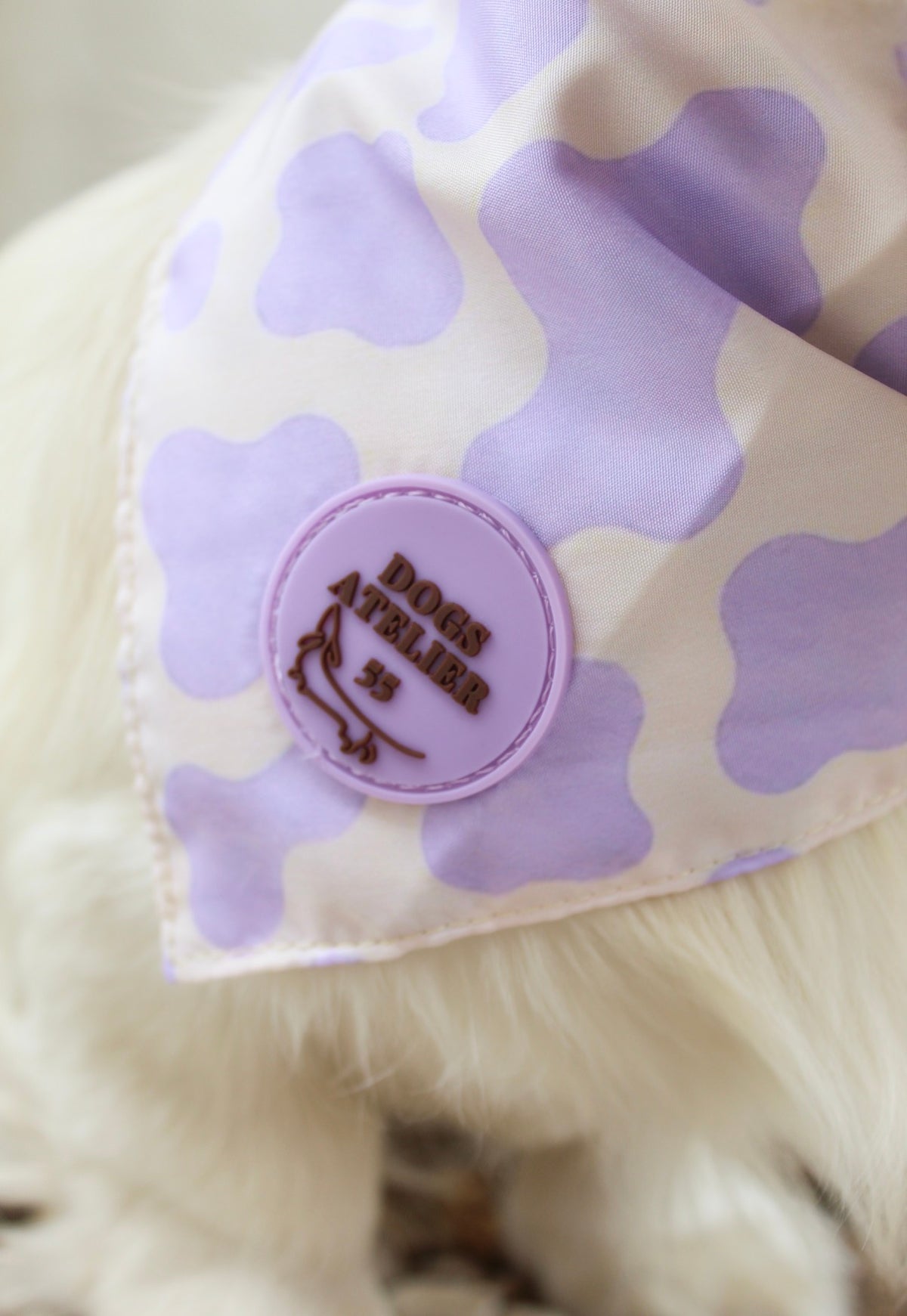 Limitierte Bandanas