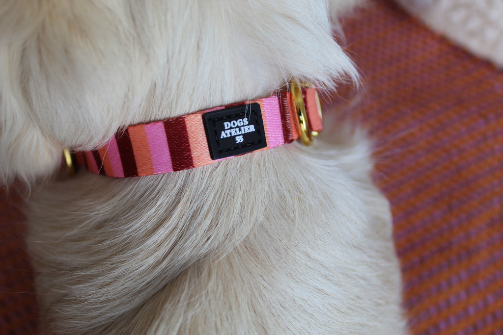 Pink sunset collar