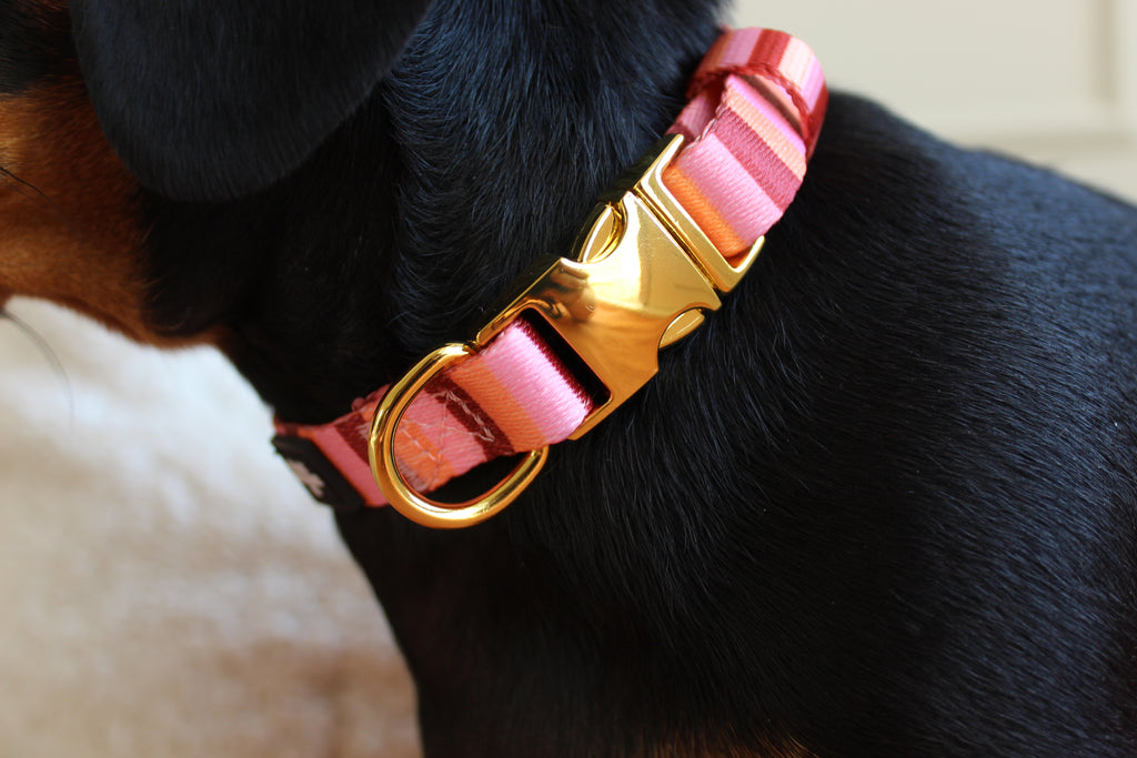Pink sunset collar