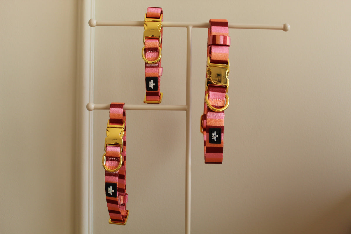 Pink sunset collar