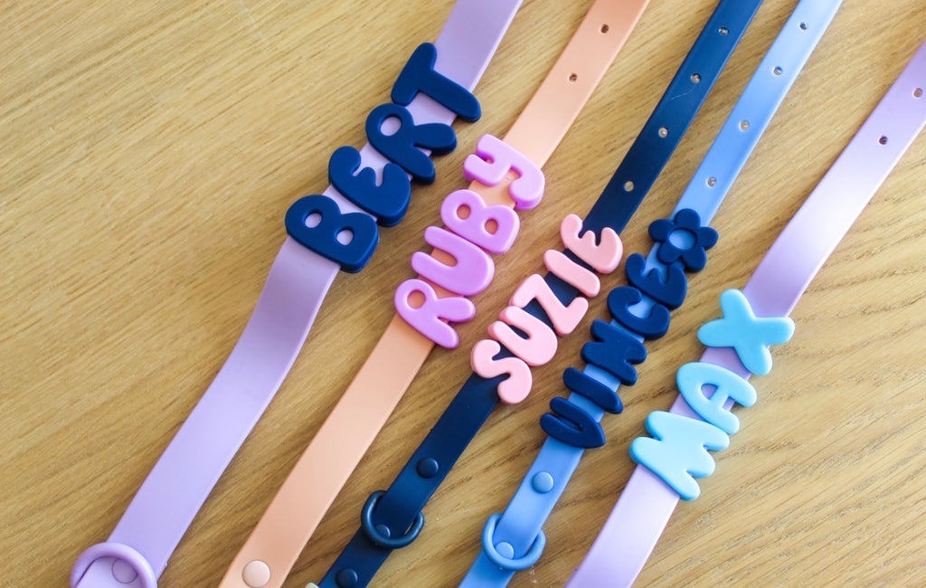 Halsband met naam