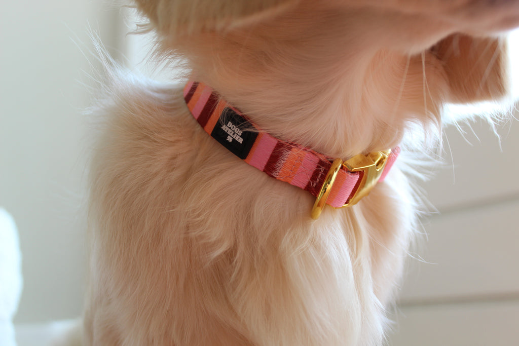 Pink sunset collar