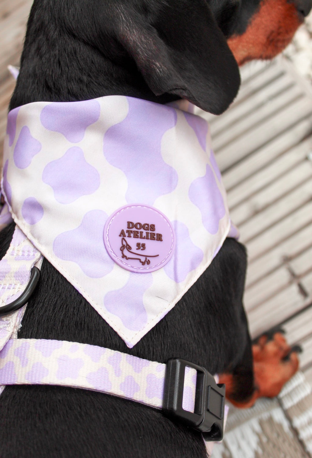 Limitierte Bandanas