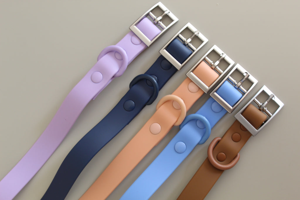 Halsband met naam