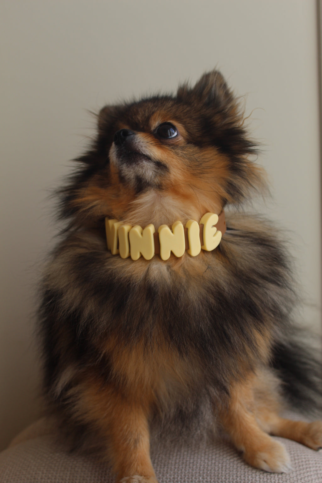 Halsband met naam
