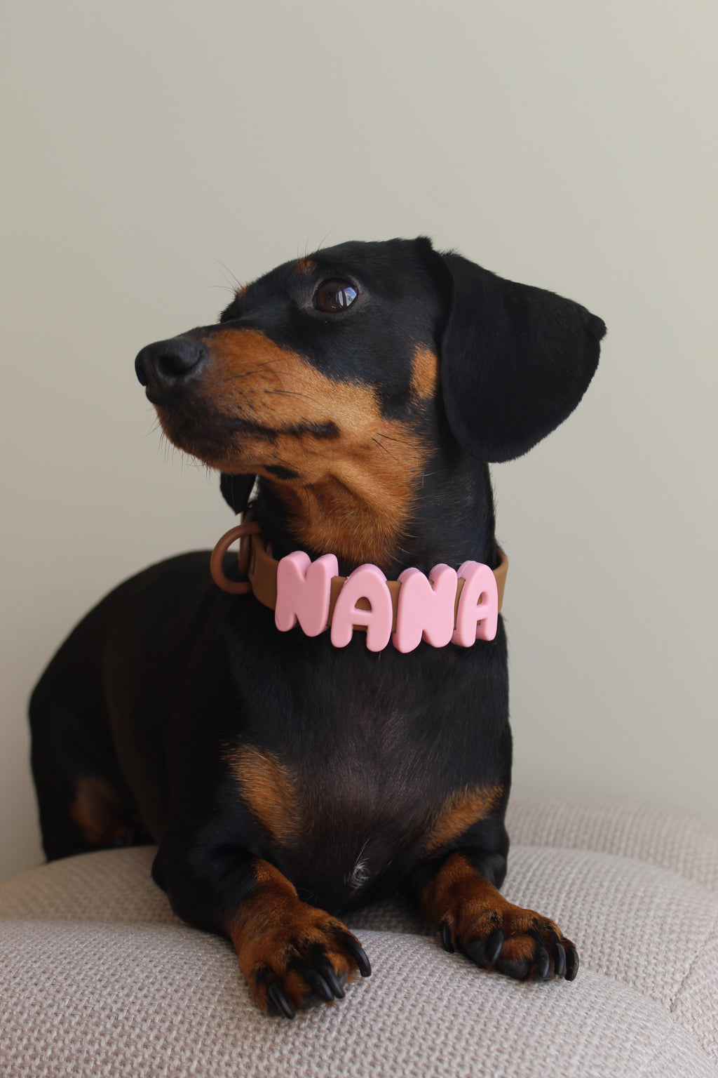 Halsband met naam