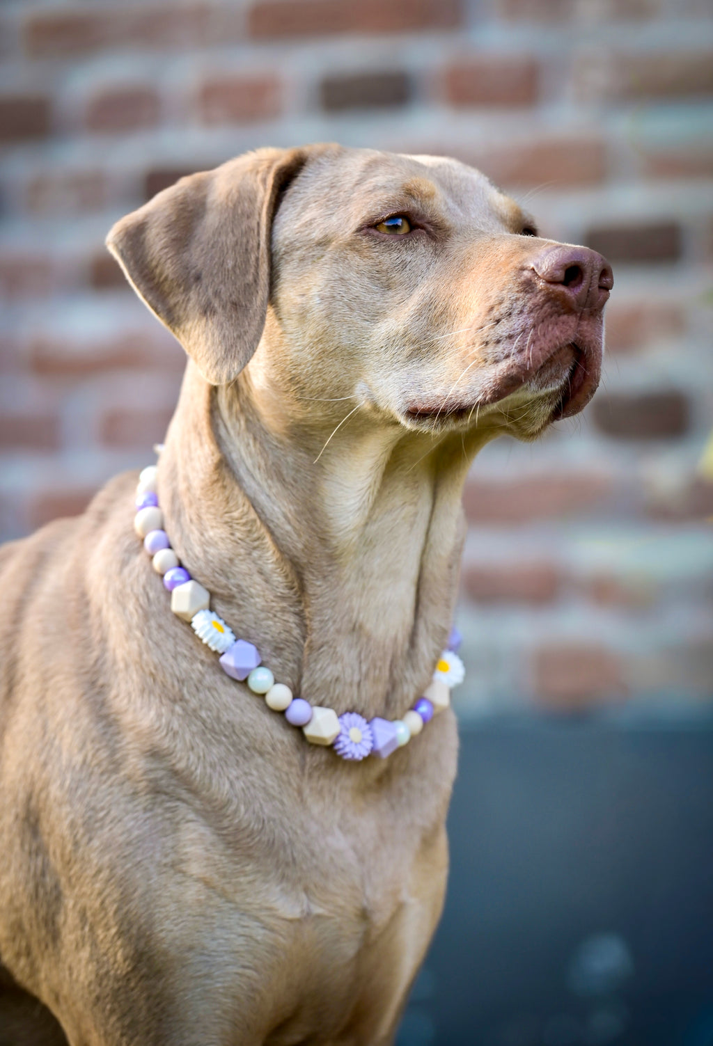 Kralen ketting